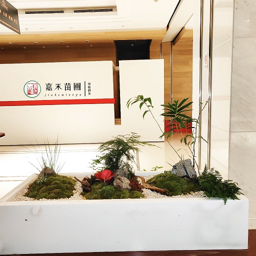 商场花卉绿植租赁花境|西安嘉禾苗圃
