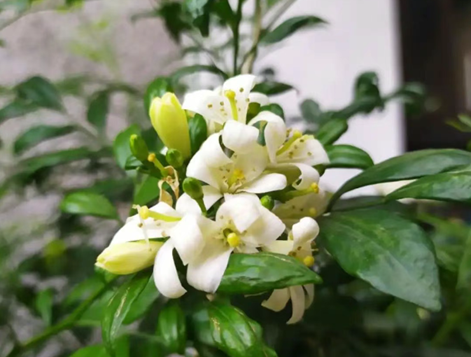 QQ20250529-105443.png
