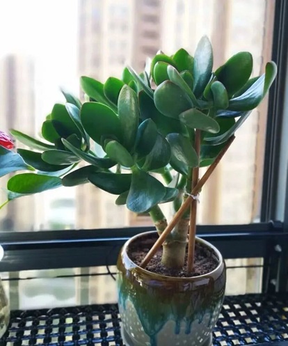 20251104/690994f93175e.jpg 640 (1).jpg