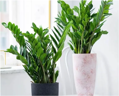 20251127/6927ac112e9fb.png QQ20251127-093551.png